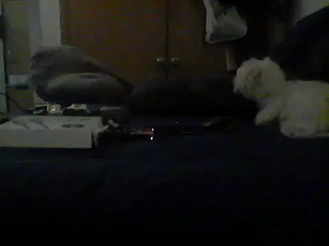 Silencio26's Live XXX Chat