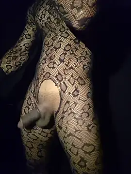צ'אט XXX בשידור חי של _hot_hard_cock_