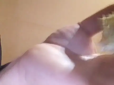 Venda83n Webbikameraesitys