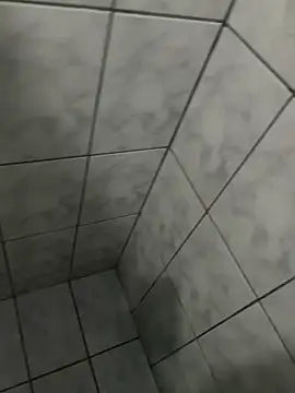 jumentopedepanon Webbikameraesitys