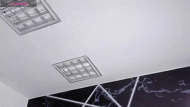 Show modela AerumChae na web-kameri