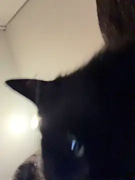 Sembang XXX Secara Langsung yukimura_kitty