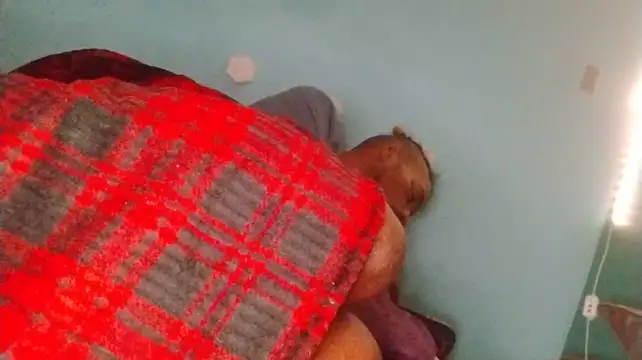 ReallyReallyReal XXX чат на живо