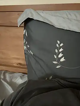 alex19mj Webcam show