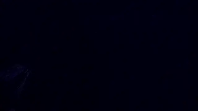 SofyMae live XXX chat