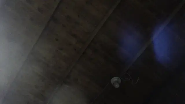 ROOKERT Live XXX Chat