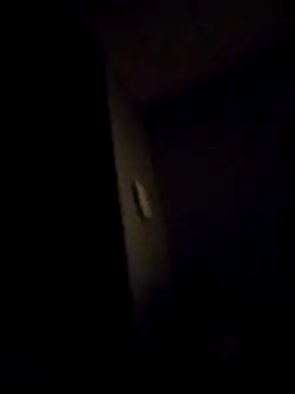 Chat XXX en directo de AceticPinscher