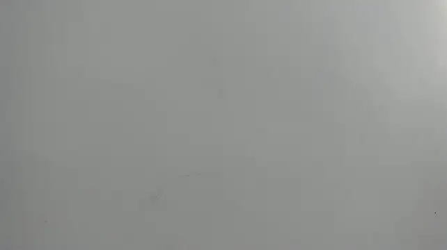 alexx_vg Live XXX Chat