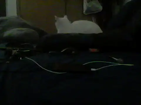 Silencio26 Chat XXX in diretta