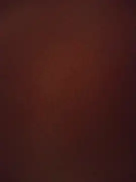 Misterywolf69n Webbikameraesitys