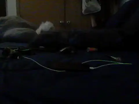 Chat XXX Live Silencio26
