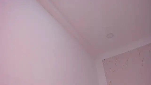 DakkotaFox's Live XXX Chat