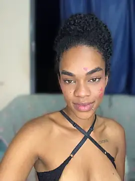 MIMICAMM Chat XXX live