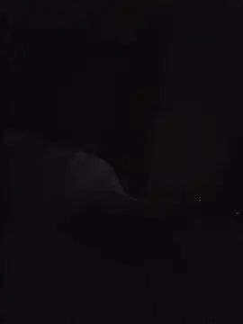 SingingTrunks Webcam-Show