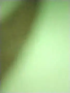 Popzbo Webcamshow