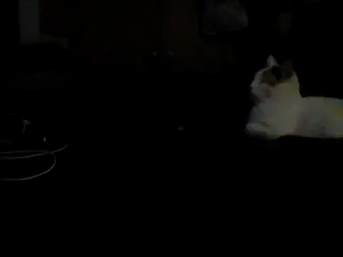 Chat XXX en directo de Silencio26