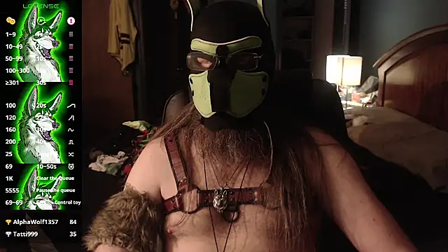 kinkywolf429 élő XXX-chatje