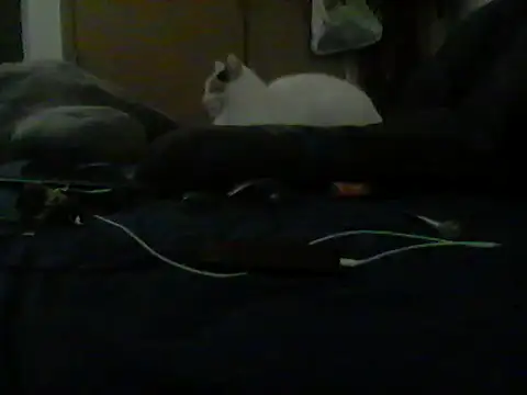 Chat +18 de Silencio26 ao vivo