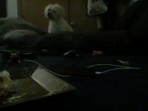 Silencio26's Live XXX Chat