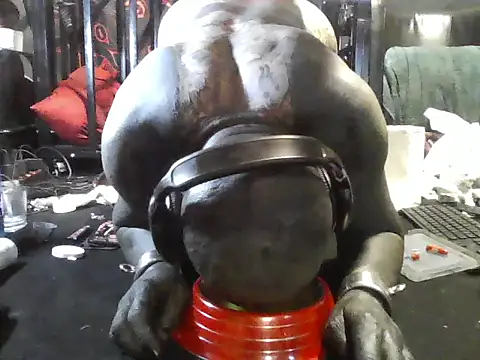 Chat XXX ao vivo de wormobject