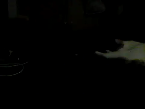 Silencio26 Live XXX-chat