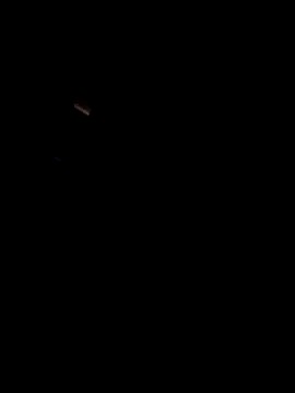 AceticPinscher's Live XXX Chat