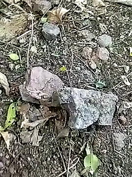 Desi_boy_fuck লাইভ XXX চ্যাট