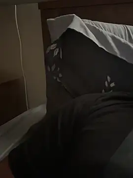 alex19mj Webcam show