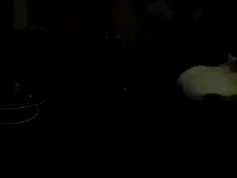Silencio26n Live XXX chat