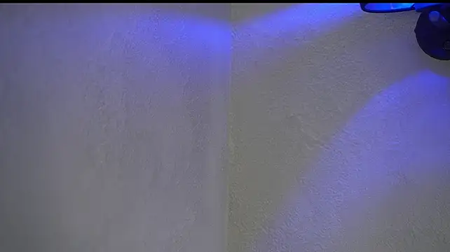 Arte_Adelle's Live XXX Chat