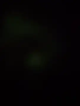 BartekMEN 现场XXX聊天