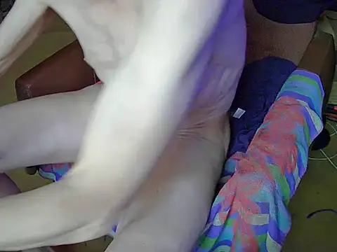 Barry-Kent Live XXX-chat