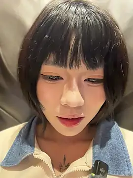 MeimoDog 网络视讯表演