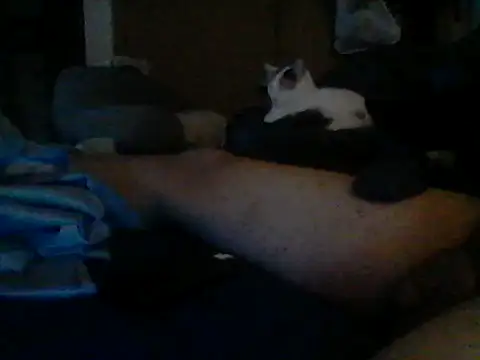 Silencio26 Chat XXX in diretta