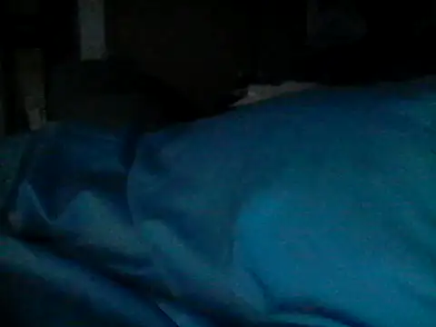 Silencio26 webkamerás műsora