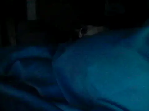 Silencio26 라이브 XXX 채팅