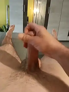 Tedd36n Webbikameraesitys