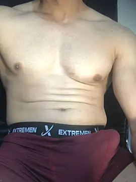 Show de guh2026 na webcam