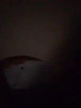 Tranda91 라이브 XXX 채팅