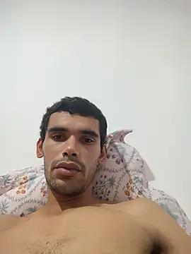 Principethomn Webbikameraesitys