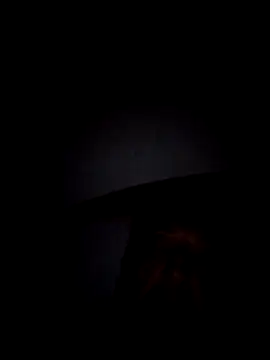 Ficose Webcam Show