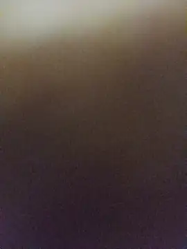 DuduZaunN2 – webcam-show