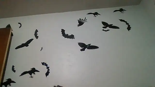 ThorsonFreja 现场XXX聊天