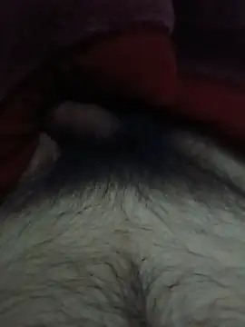 Show de webcam de luan94luan