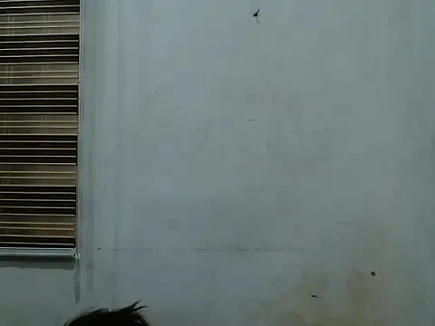 Sweetxnecta's Live XXX Chat