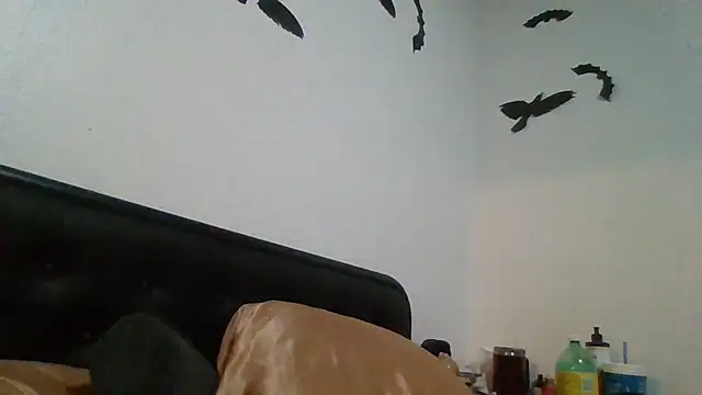 Pokazy przed kamerką – ThorsonFreja