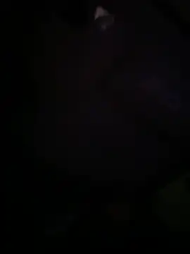 Show webcam de FoxyMamabear