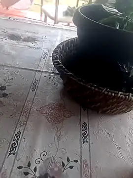 عرض كام bolulupideci14