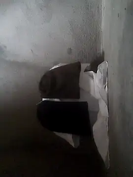 XAMSTERLAYV ওয়েবক্যাম শো