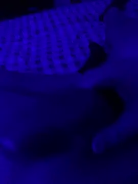 ZBIBoO Webcam-Show